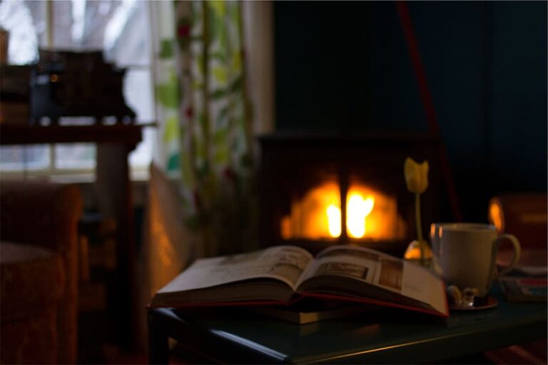 Energy Efficiency: How Much Propane Does a Fireplace Use – 2023 Guide