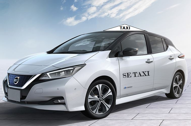 electric car taxi business plan