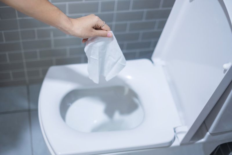 Are Cottonelle Flushable Wipes Biodegradable – 2023 Guide