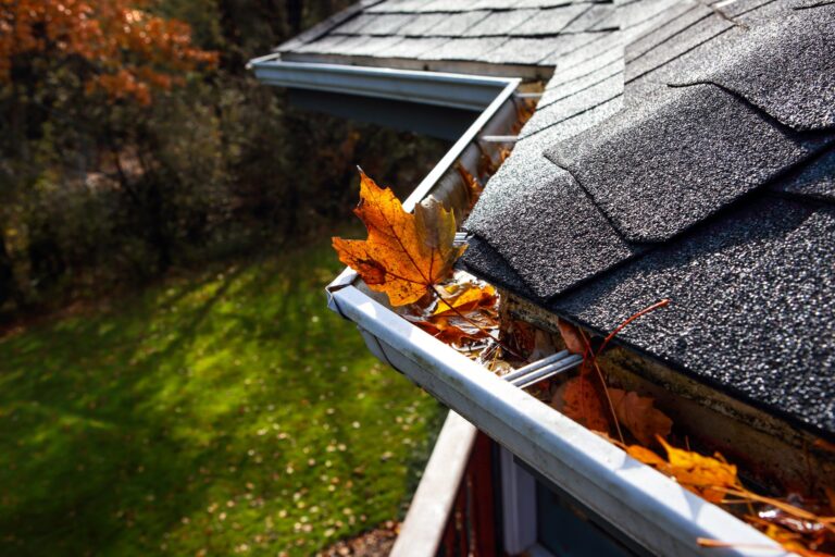 7 Common Signs Your Gutters Need To Be Cleaned – 2023 Guide