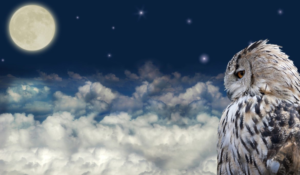 Decoding Dreams: What Does It Mean When You Dream About Animals?