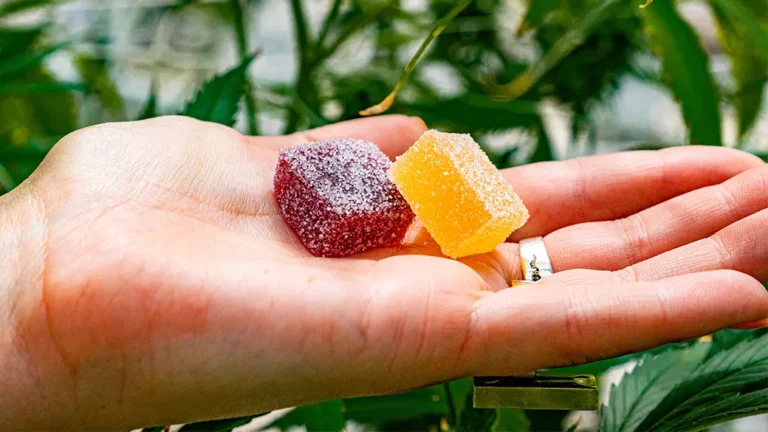 The Ultimate Buying Guide for CBD Gummies