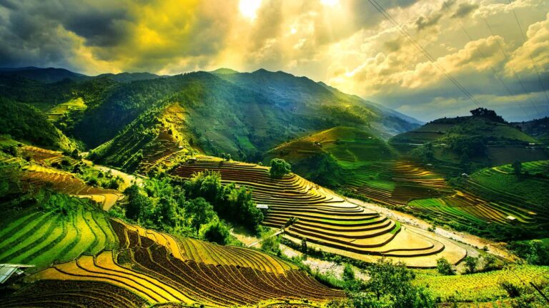 What You Need to Know Before Traveling to Vietnam?