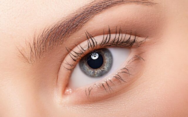 Understanding the Basics of Eyelashes